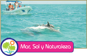 Mar, Sol y Arena Tour