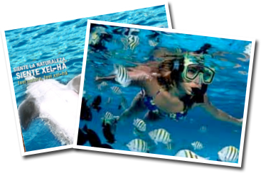 Xel-Ha