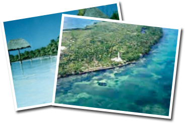 Contoy Island