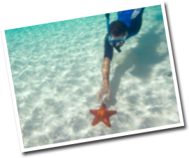 Cozumel Island