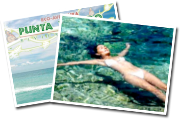 Punta Venado